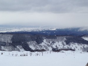 IMG_1422