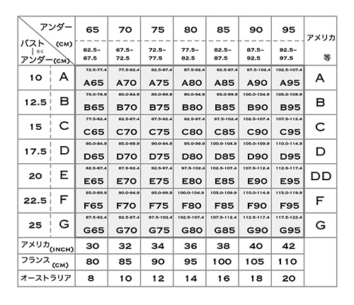 ブラ サイズ